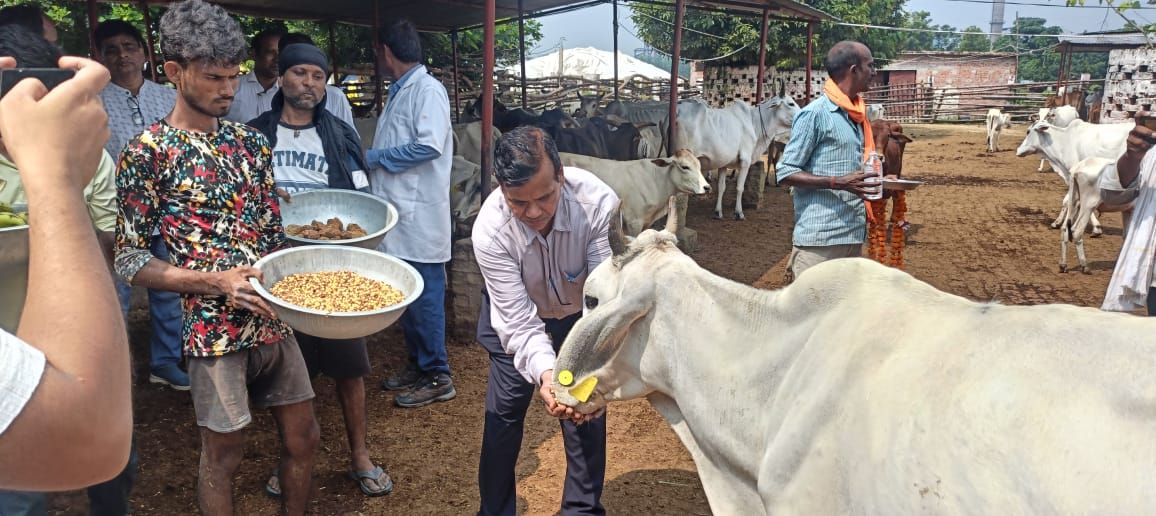 निदेशक प्रशासन ने 02 गो आश्रय स्थलों का किया निरीक्षण